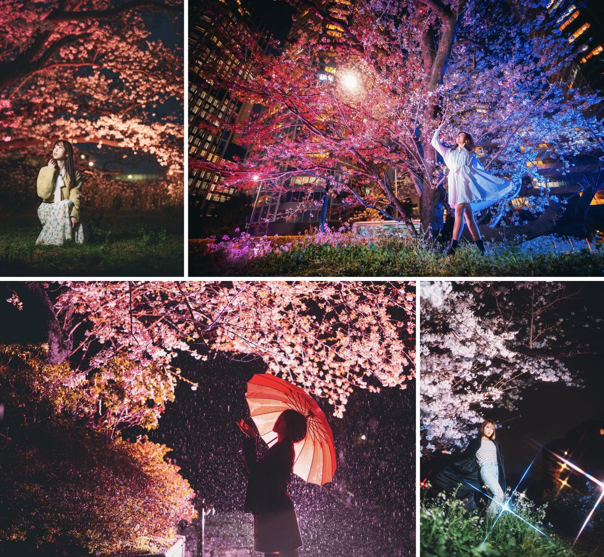 ポートレート講座開催数「日本一」📷️「カメ教!」カメラの教室 tweet media