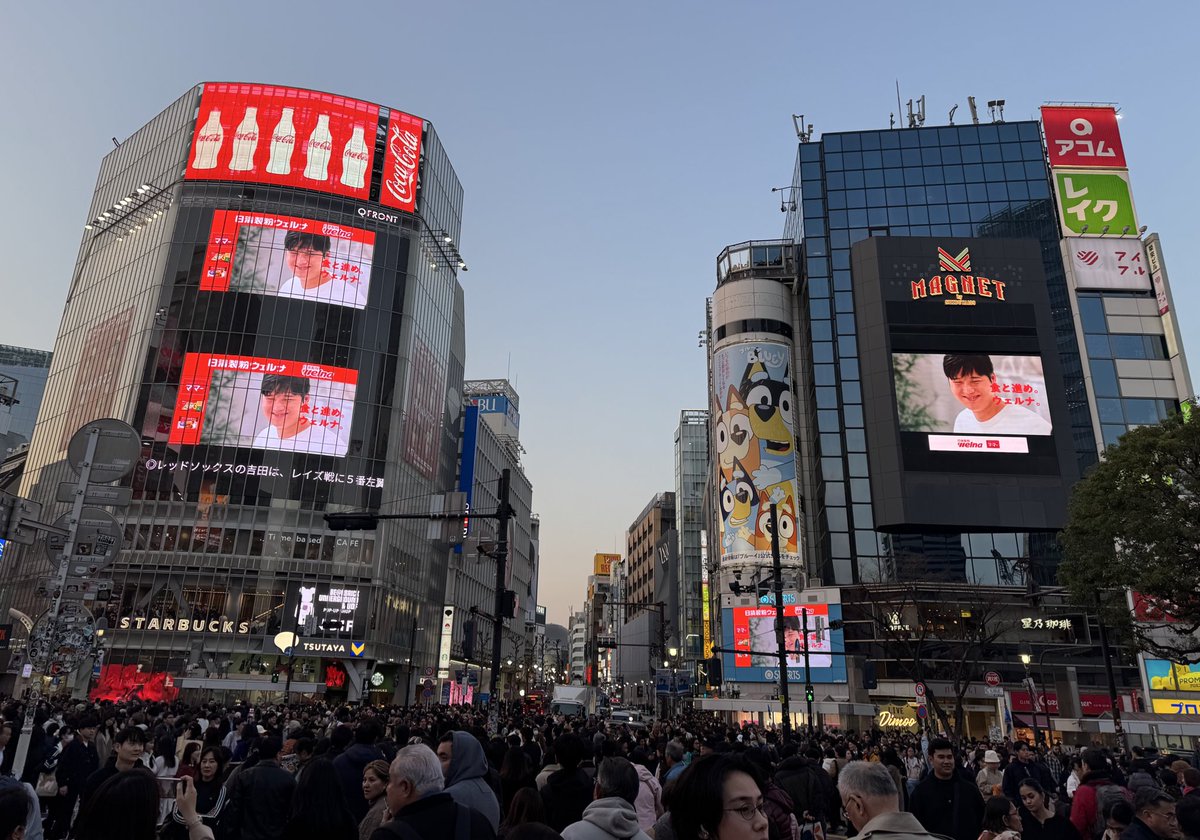 萩野洋平 tweet media