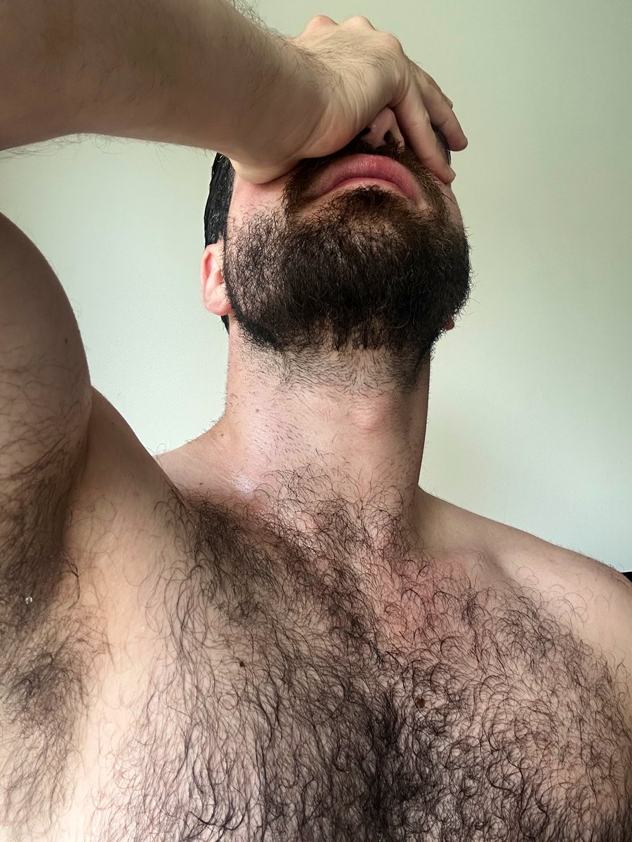 Only Teddy tweet media