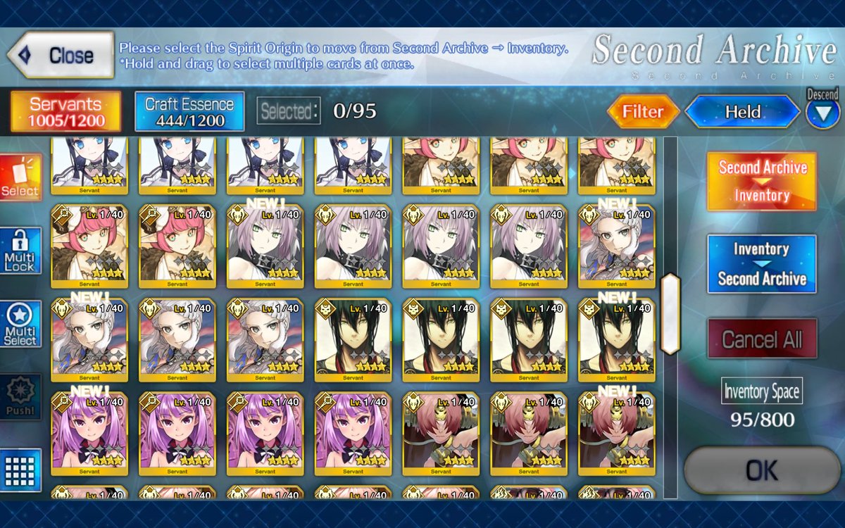 Elroid Tiereon 🇨🇱 - Birb Guy tweet media