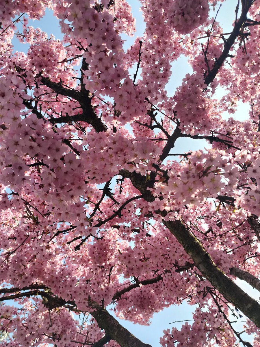 ナビル tweet media