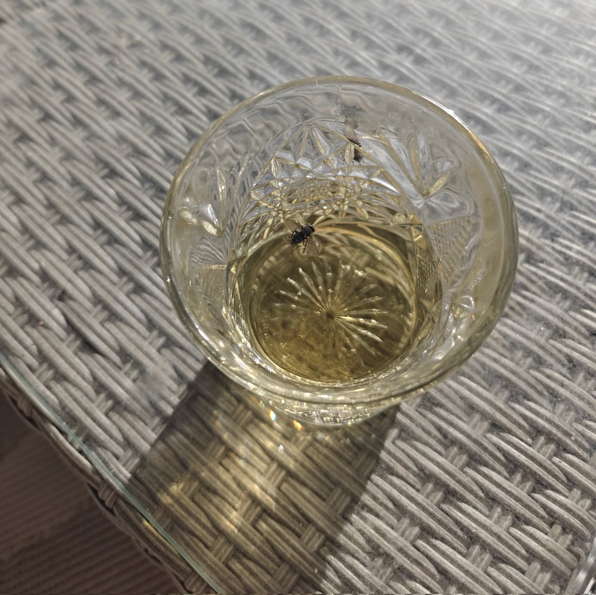 JENNY🔪 tweet media