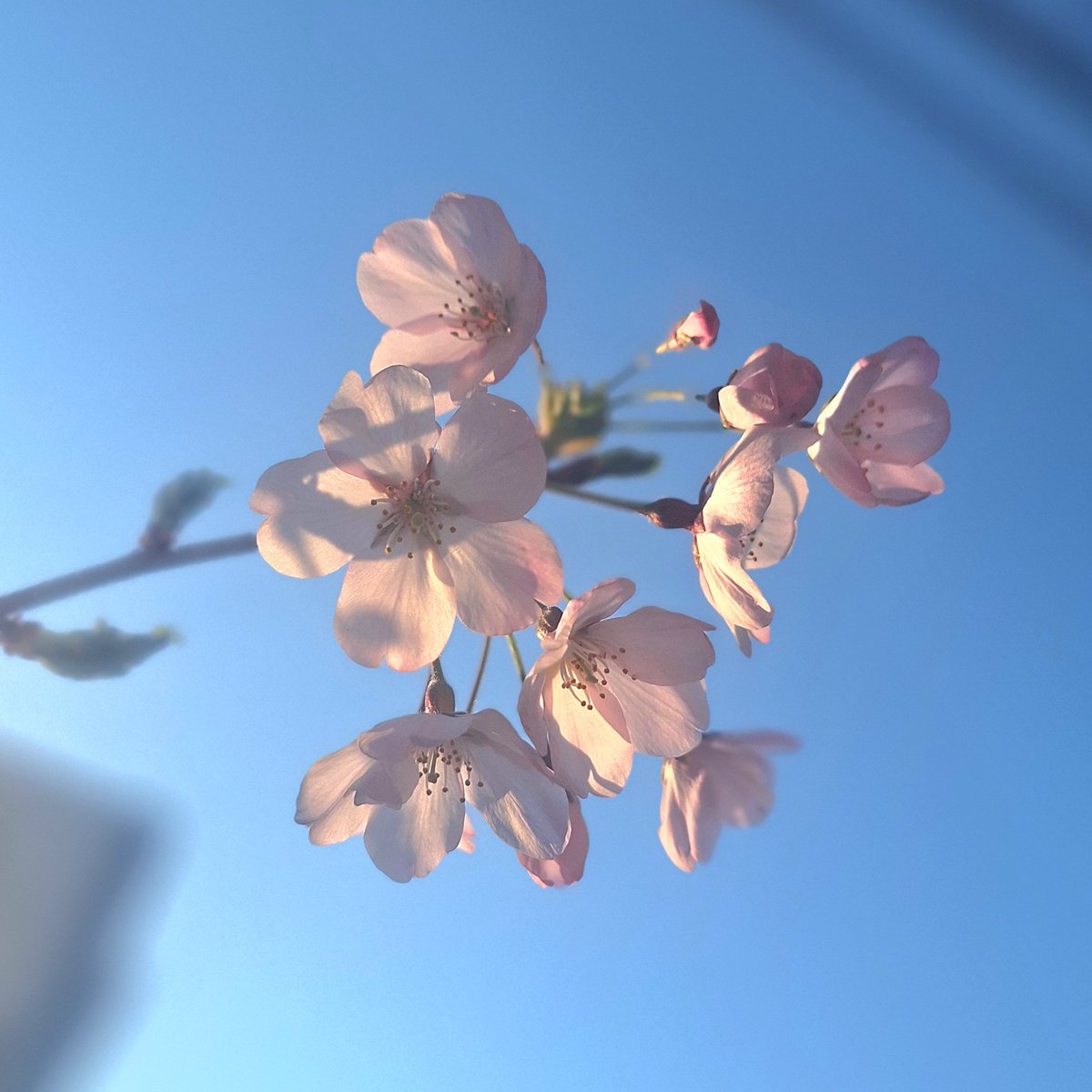 すぎえ むつみ tweet media