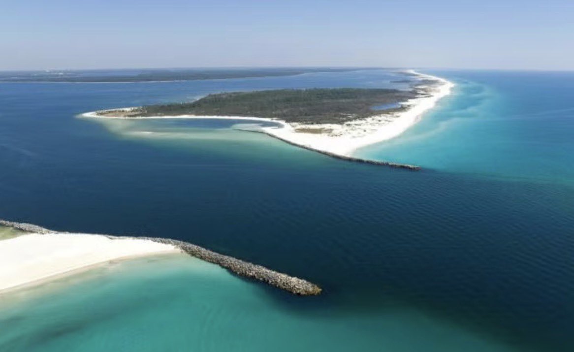 Cody Farrill tweet media