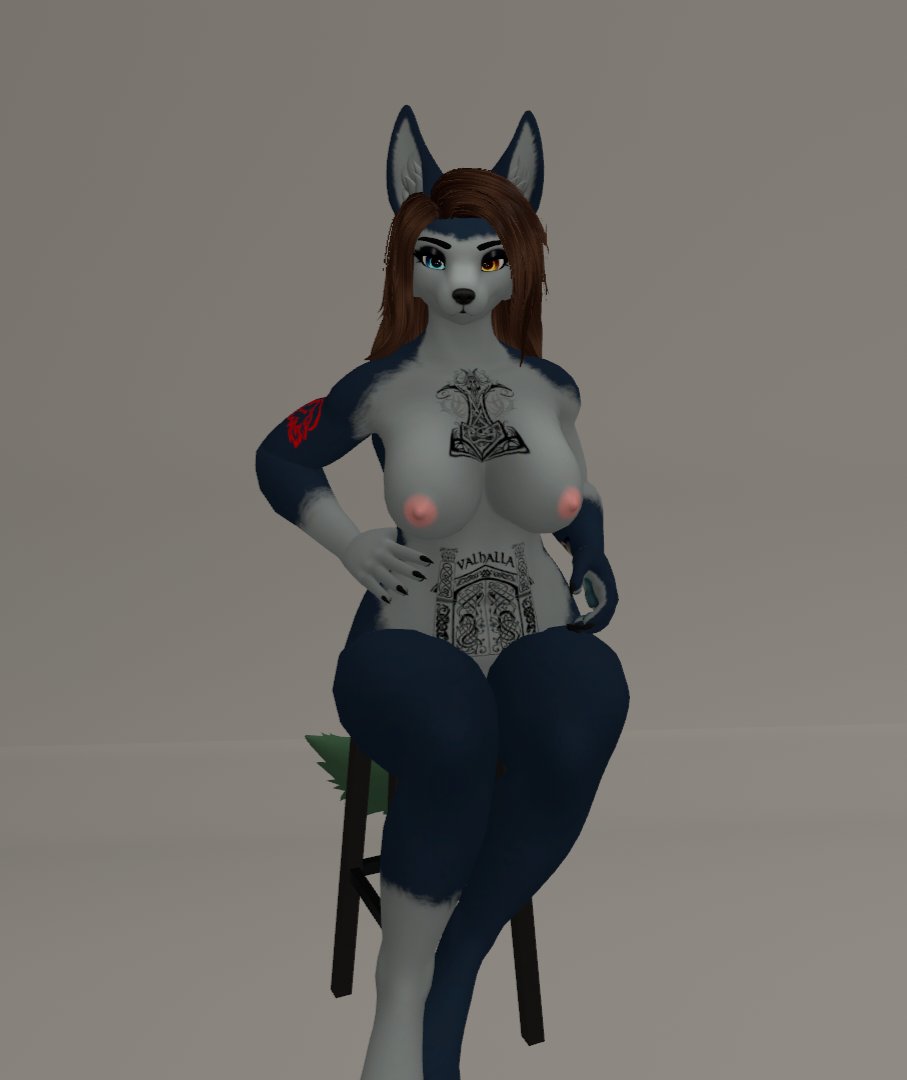 Laika the Wusky tweet media