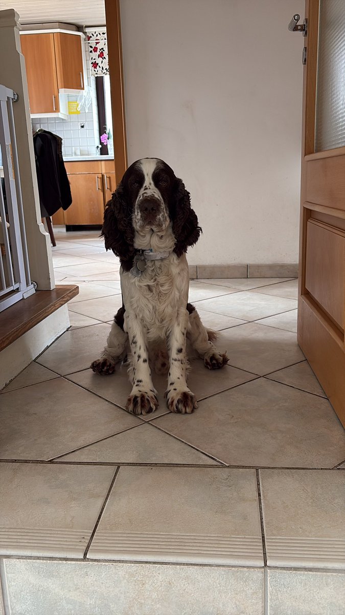 Andy 🇺🇦 tweet media