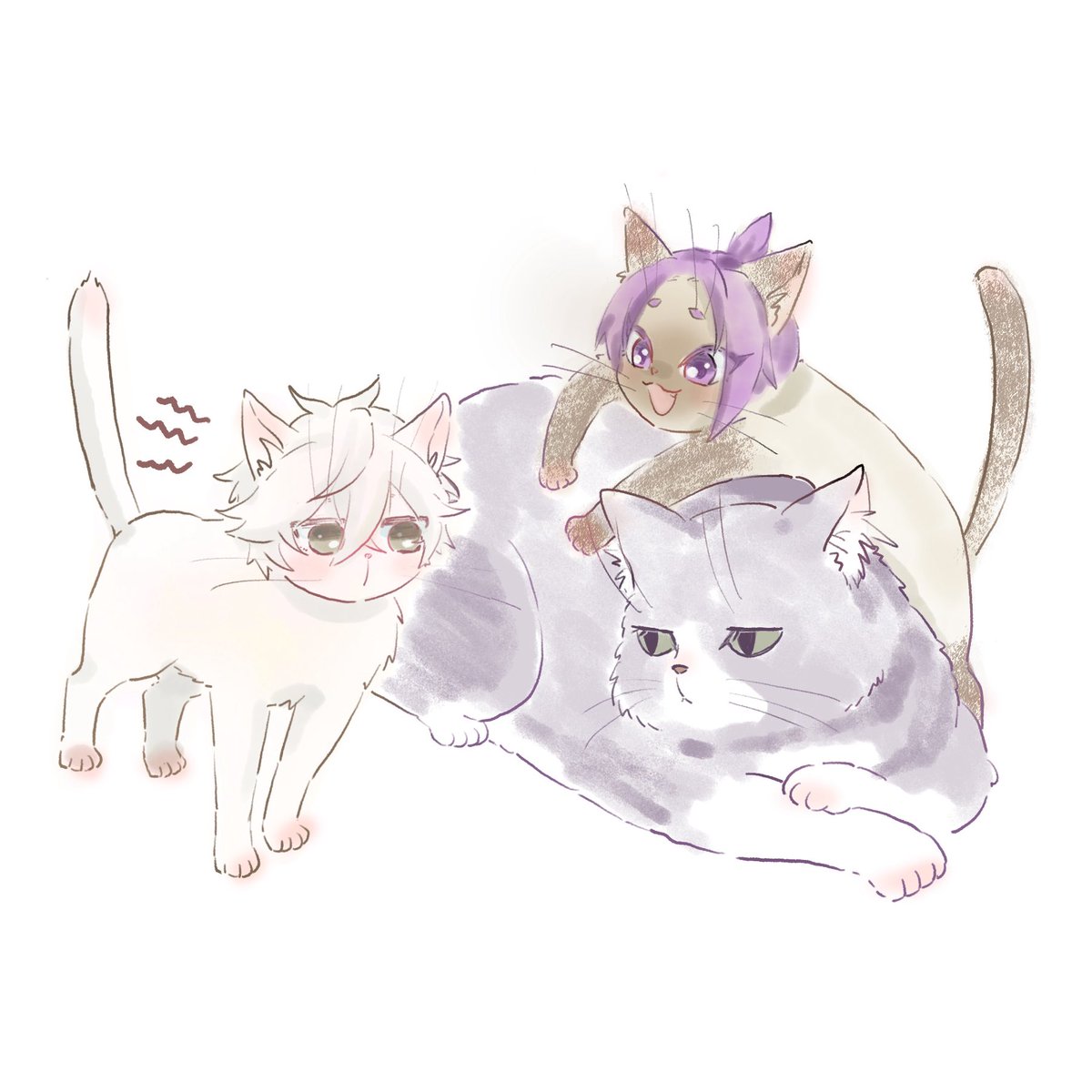 チワヨヨ tweet media