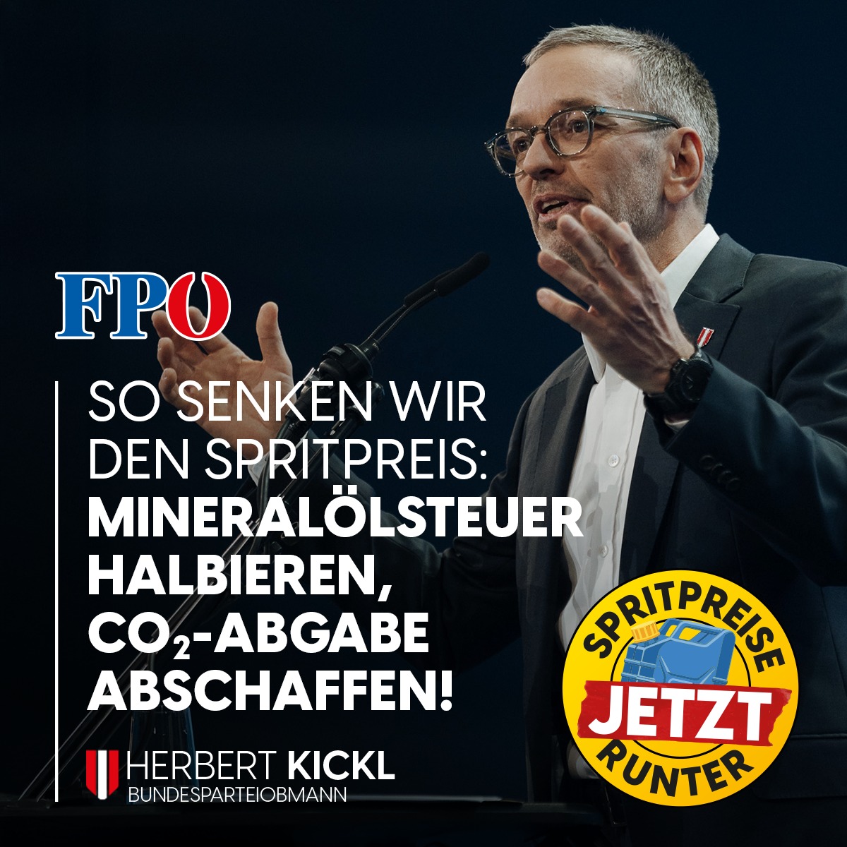 Petra Steger tweet media