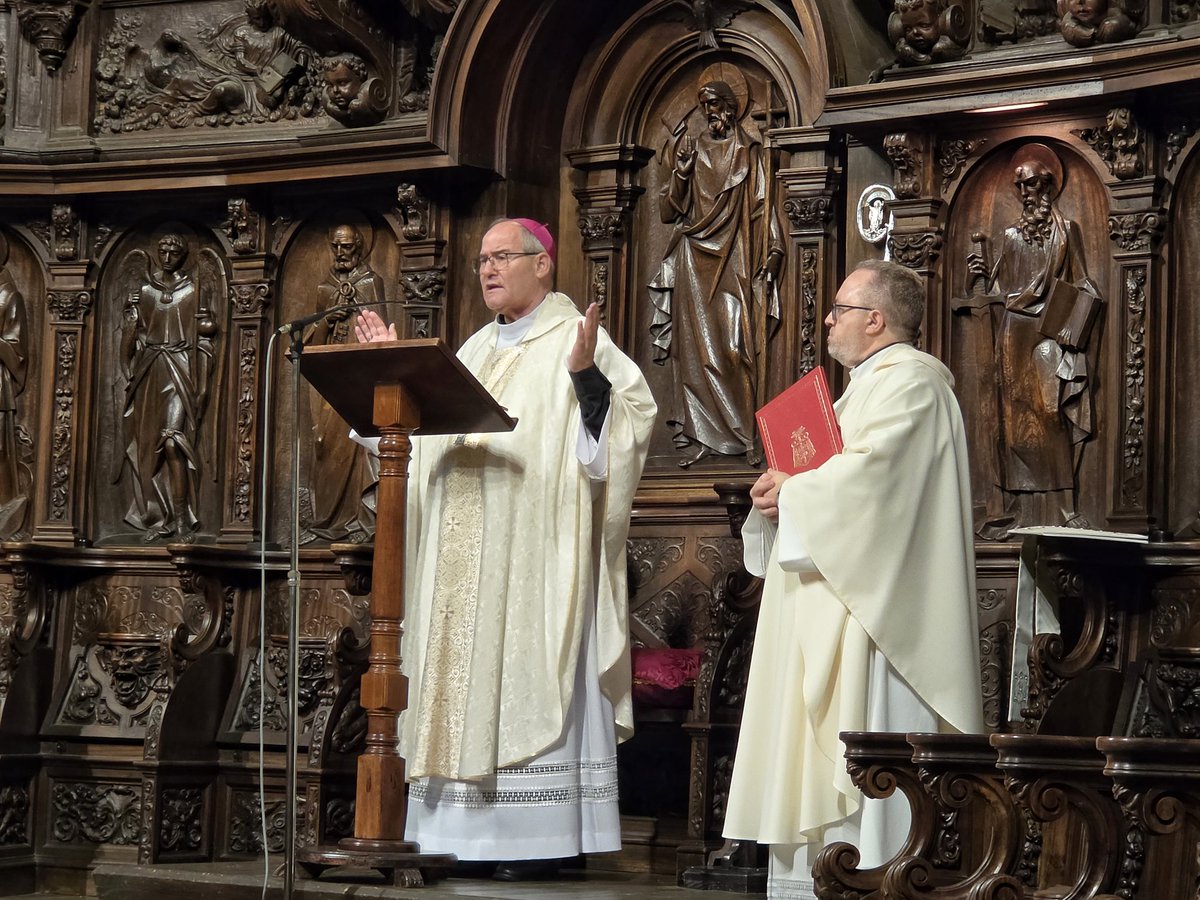 ✙ Francisco Cerro Chaves tweet media