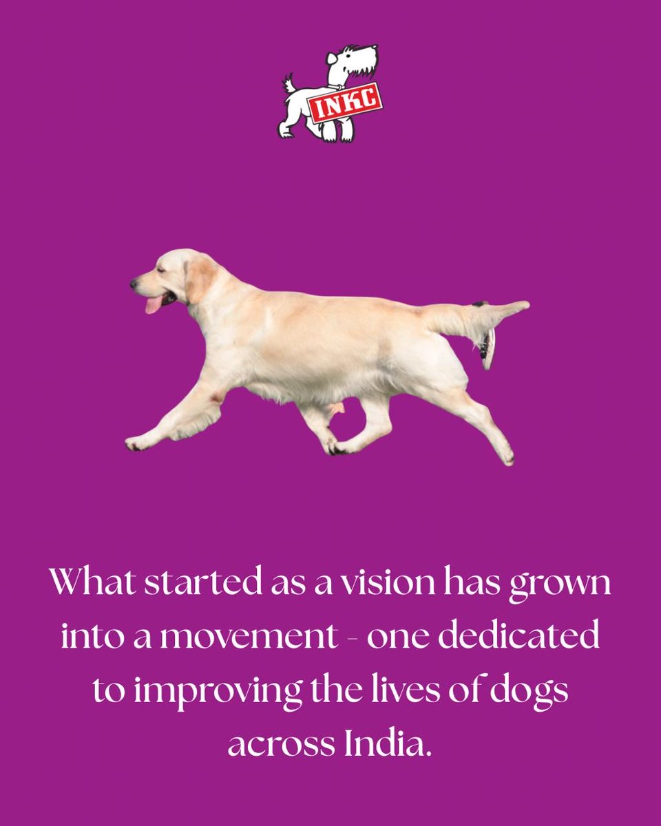 INKCdogs's tweet photo. The Indian National Kennel Club celebrates its birthday today. https://t.co/mj39zv3Rm5
