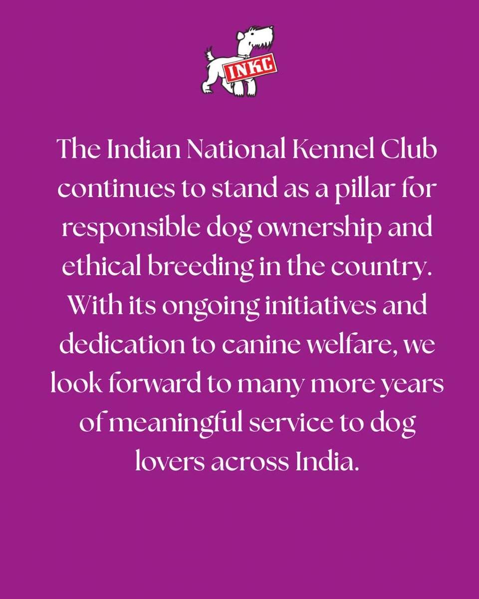 INKCdogs's tweet photo. https://t.co/tqwAp4HoAQ