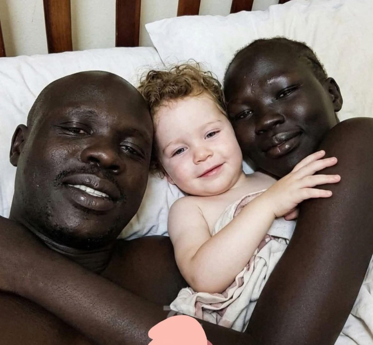 Mr Pengine (PhD) tweet media