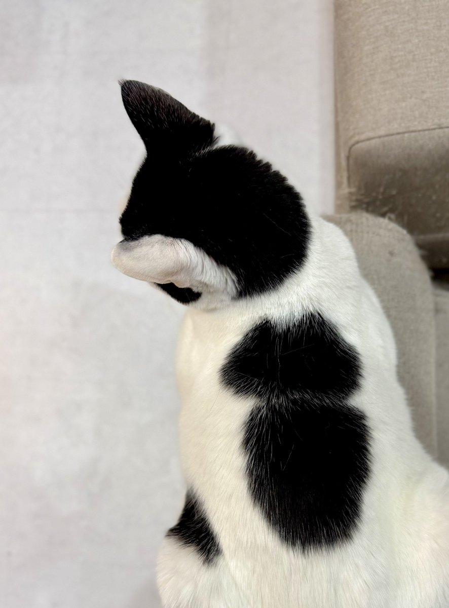 なみそ📕KEN/書籍重版！感謝📙 tweet media