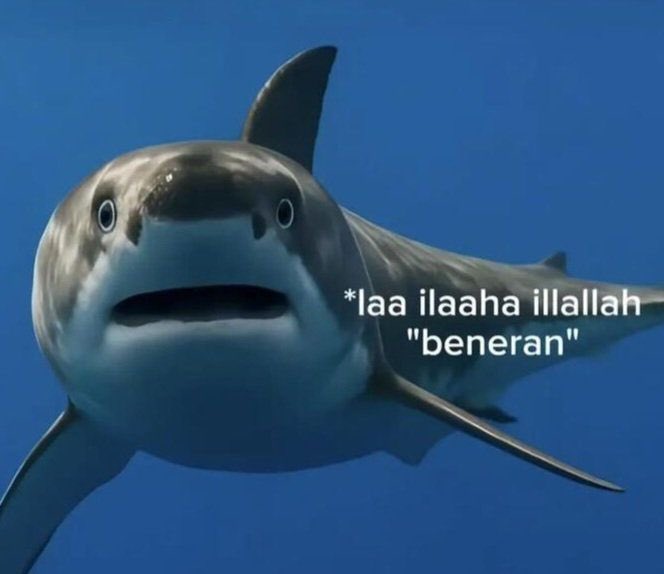 kerl. ✨ tweet media