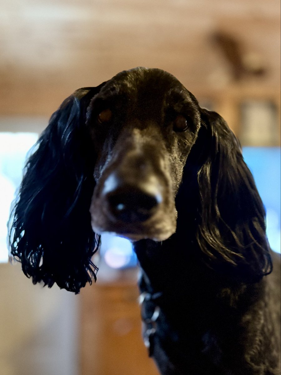 Dockside Billy tweet media