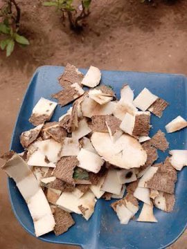 Voice of Igbos tweet media