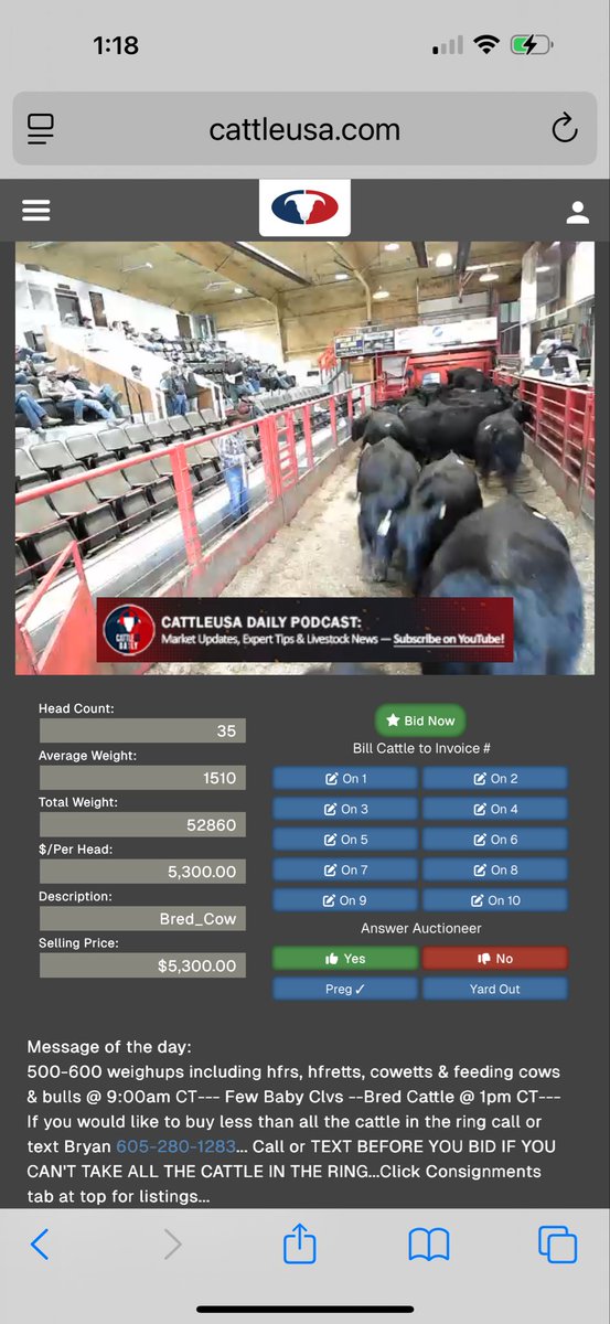 Randy Ymker tweet media