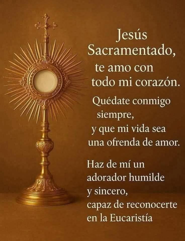 Meditar y vida tweet media