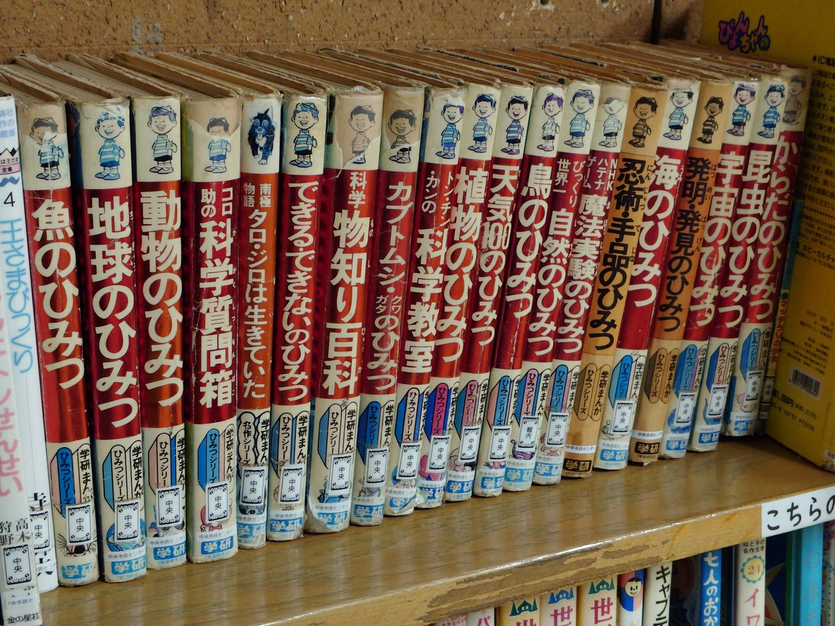 四方田犬丸 tweet media