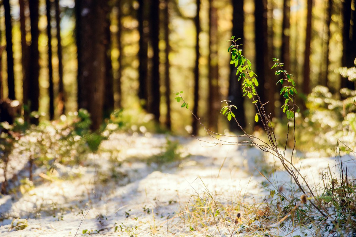 Robiansyah tweet media