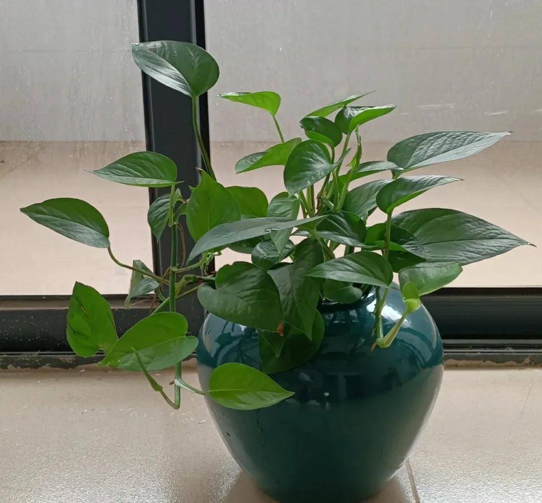 Dark Cyde Ent tweet media