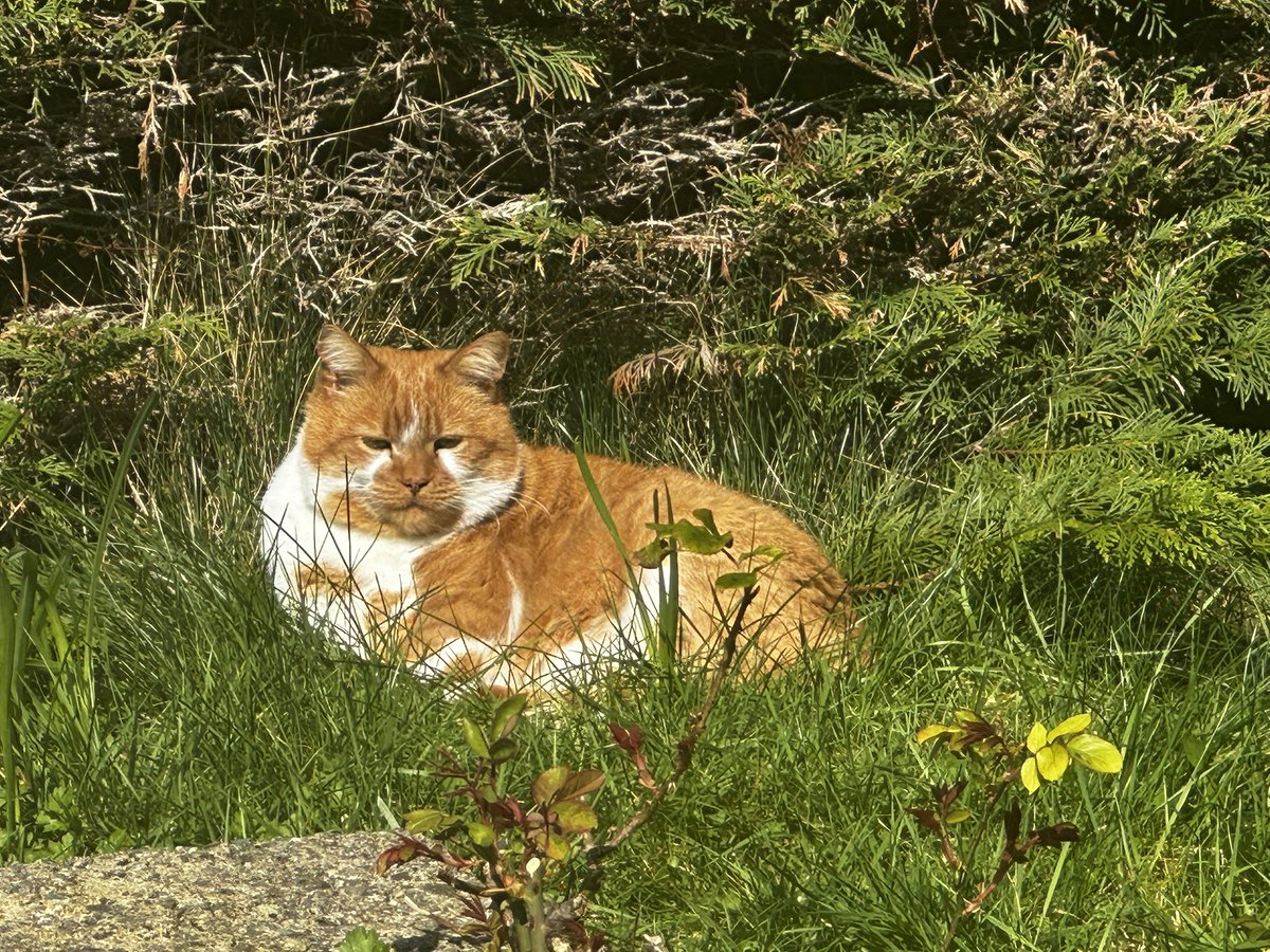 Ruth McCauley tweet media