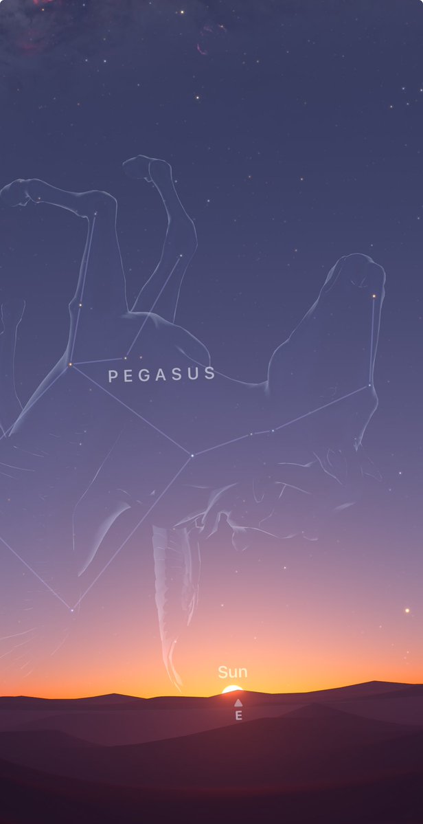 BorgiaINC's tweet image. #pegasus #Ra #SolInvictus