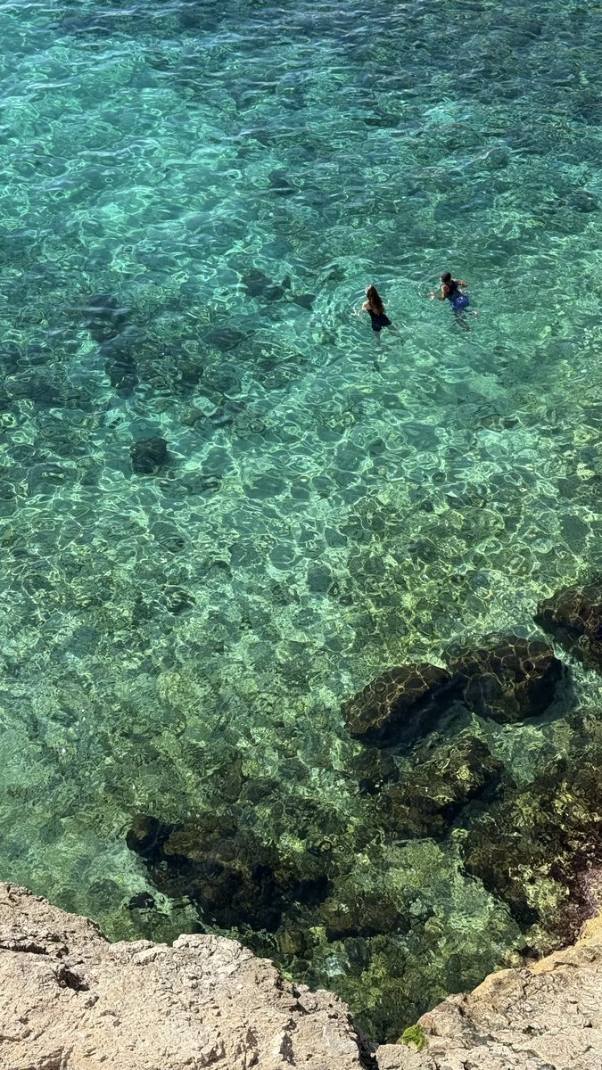 𝙁𝘼𝘽𝙄𝘽𝙄 📟 tweet media