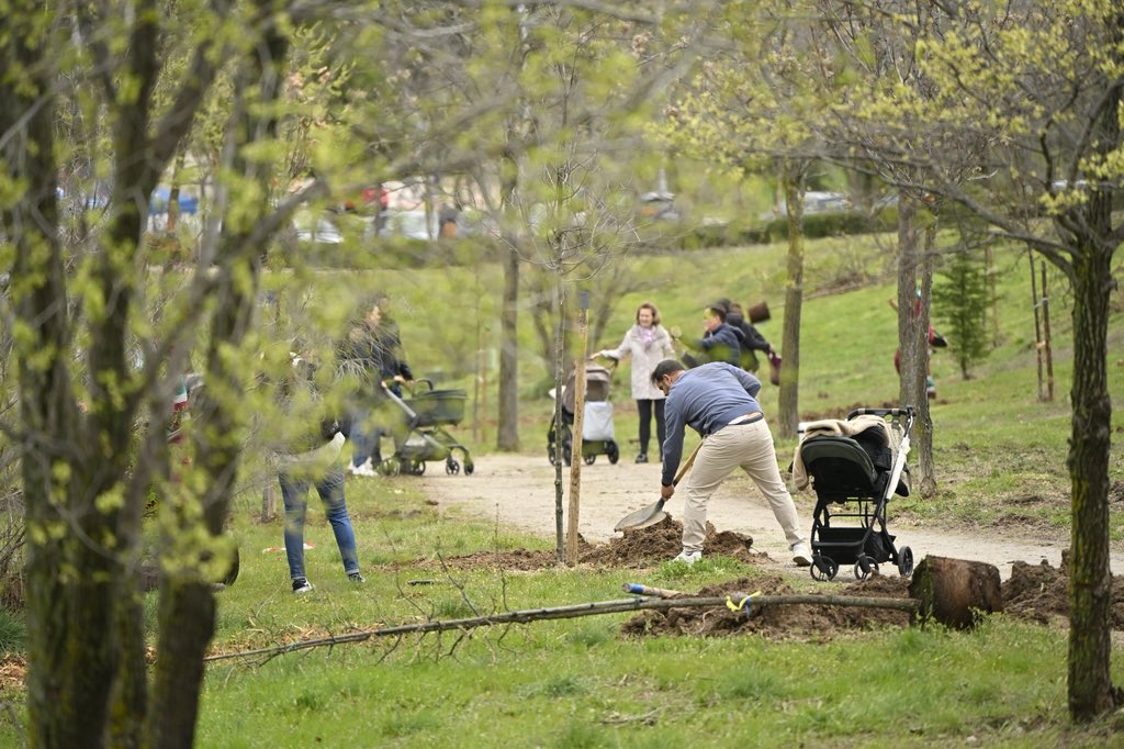 Carlos Bolarín tweet media