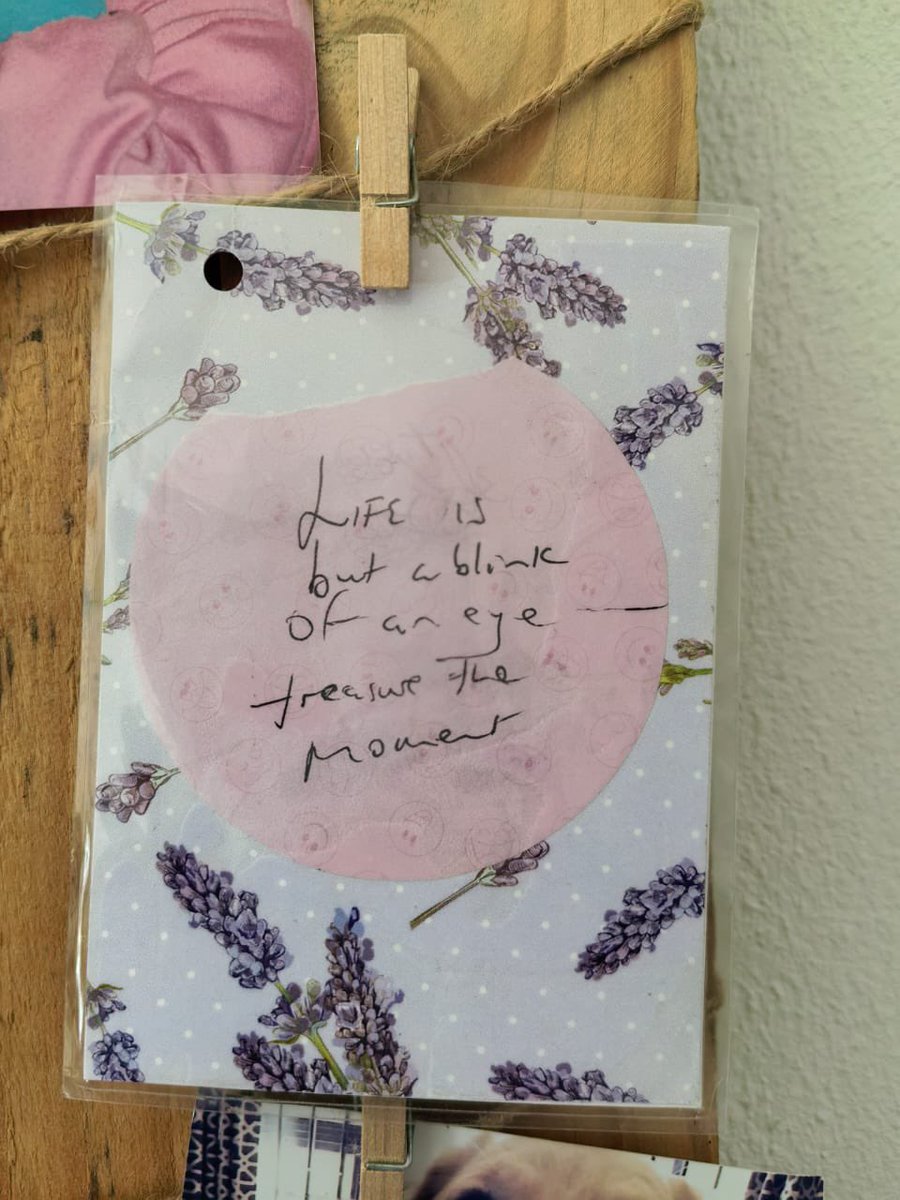 Lynn Nagel tweet media