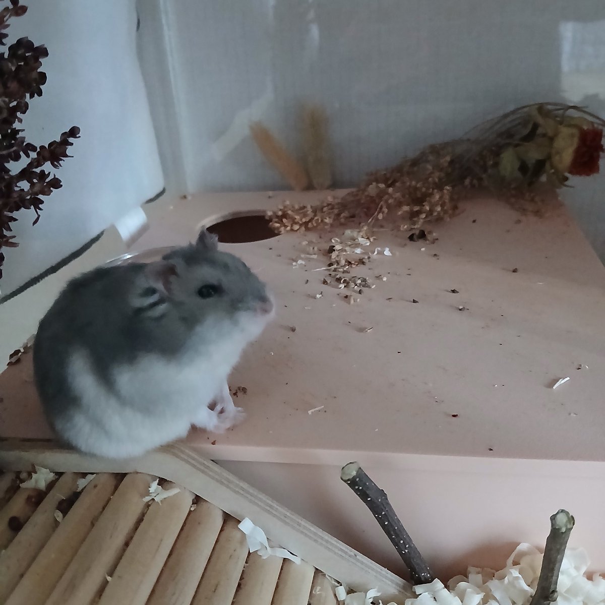 예거왕 tweet media