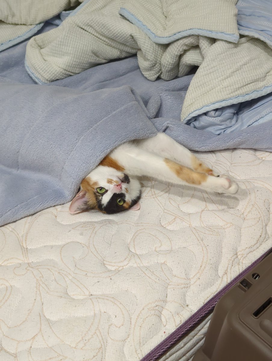 Yuu Jinnai tweet media