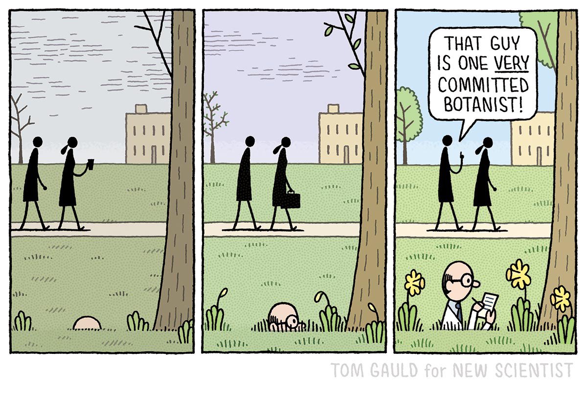 Tom Gauld tweet media