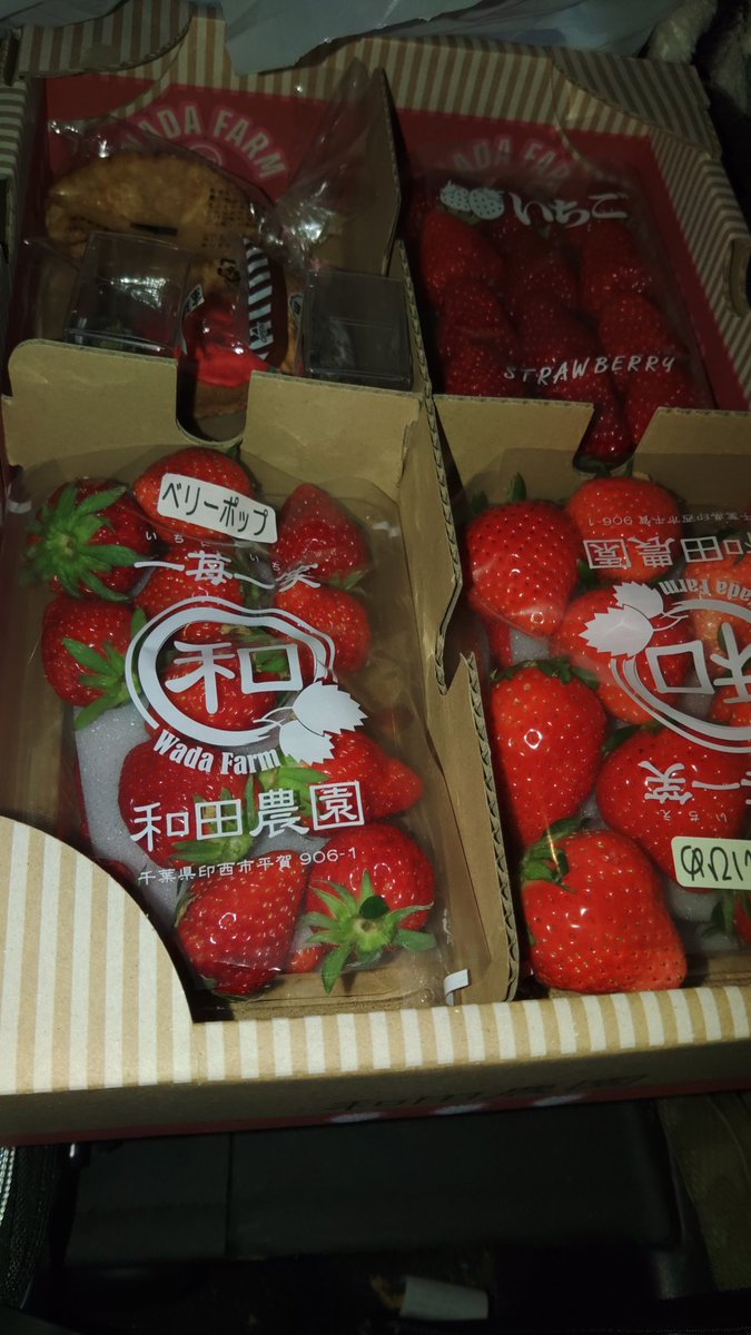 浮遊物🎈ふゆふれ tweet media