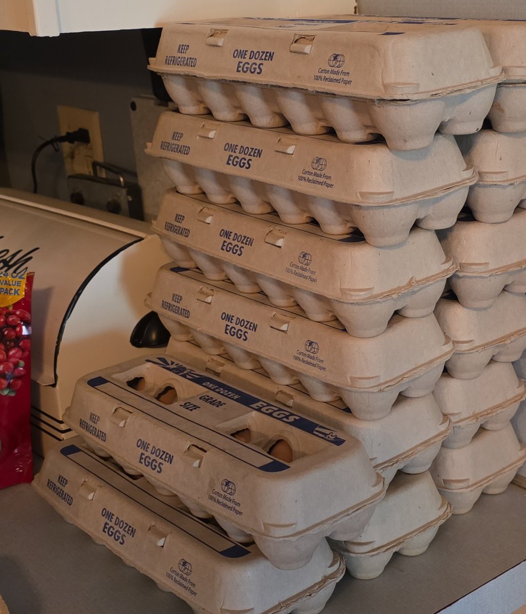 𝕻𝖍𝖆𝖒𝒚𝖓𝖓 tweet media