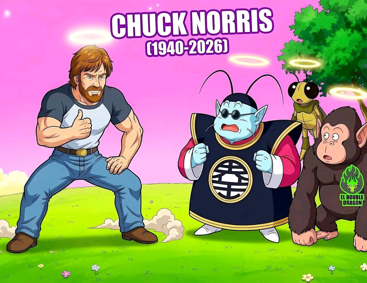 Harley Anime✨ tweet media