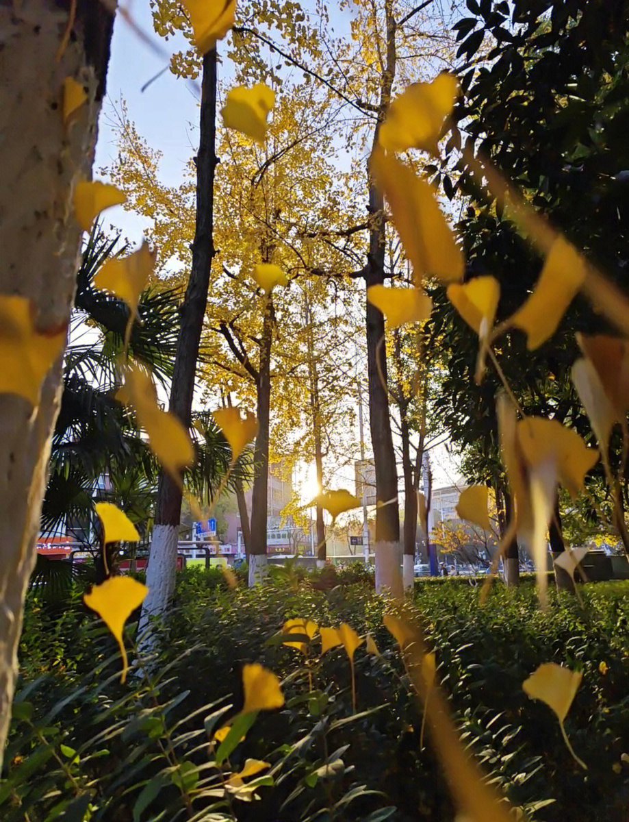 Sue Mackey tweet media