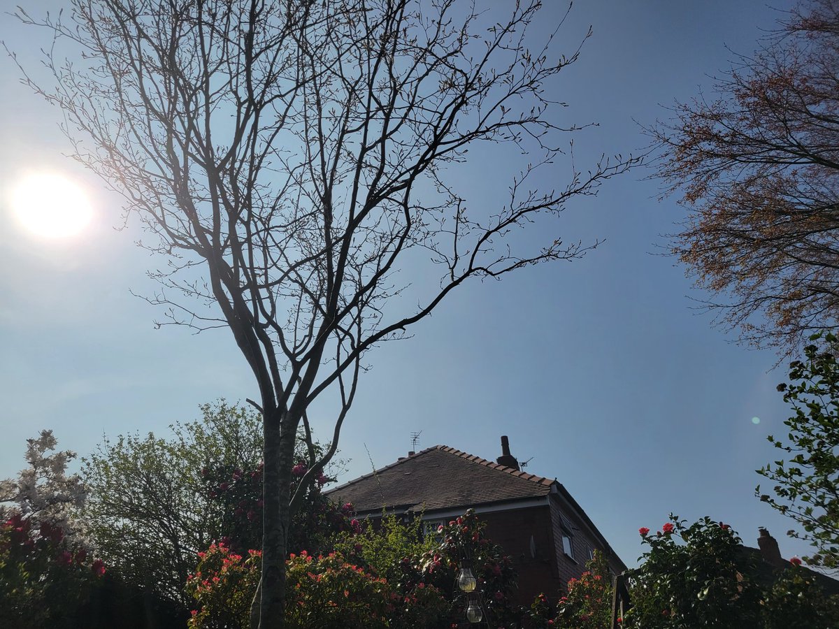 MetChasers🏴 tweet media