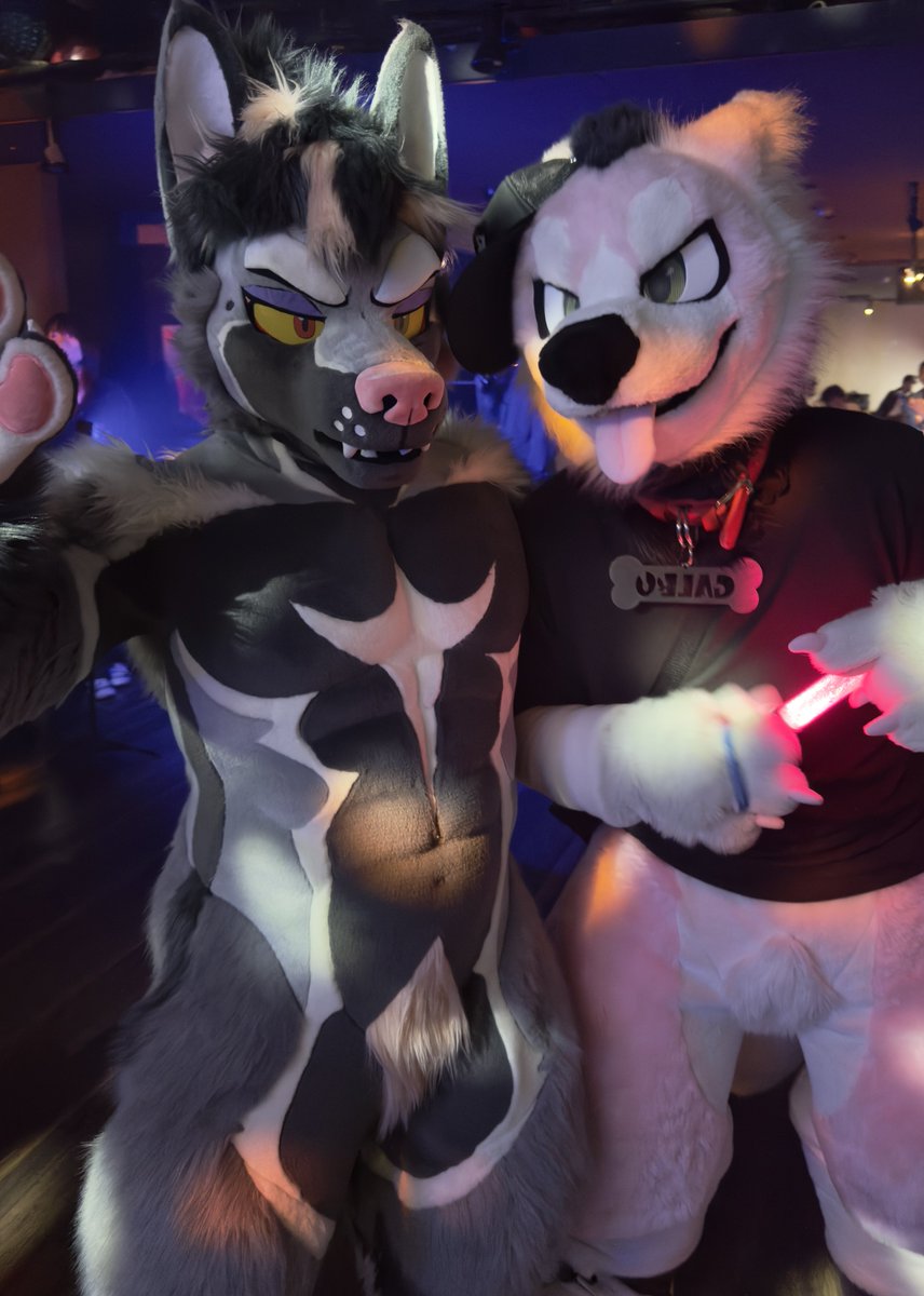 シャッチョ（Shaccho）→UTFG→IWAG tweet media