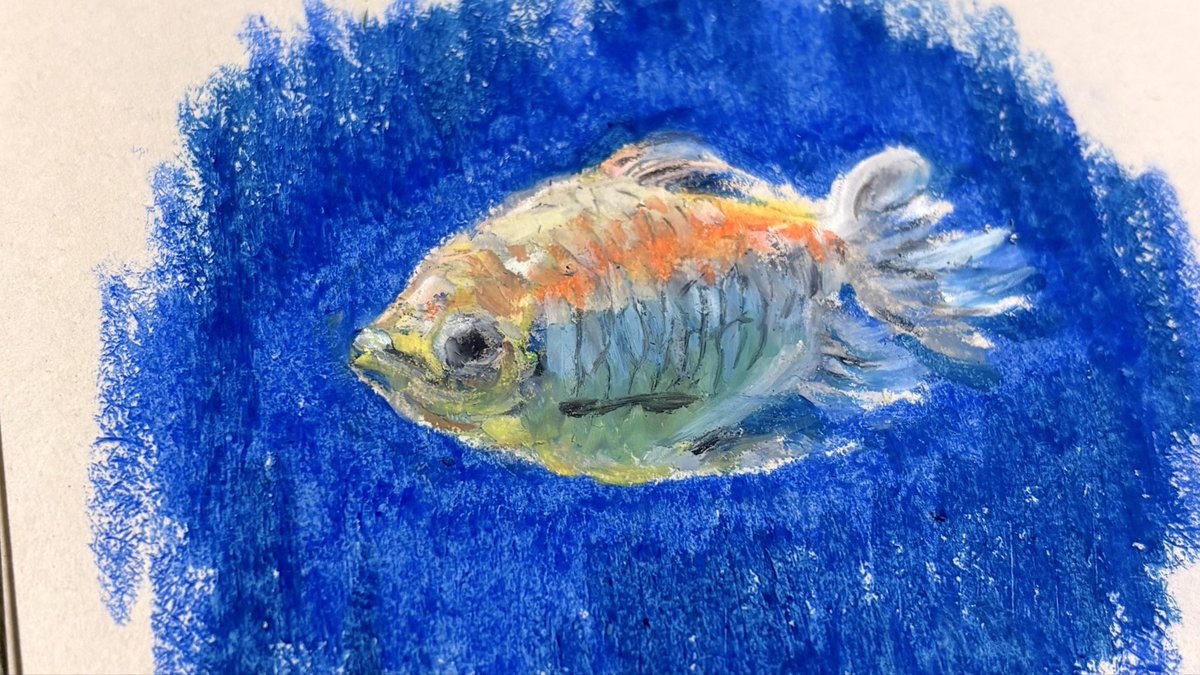 ほしの tweet media