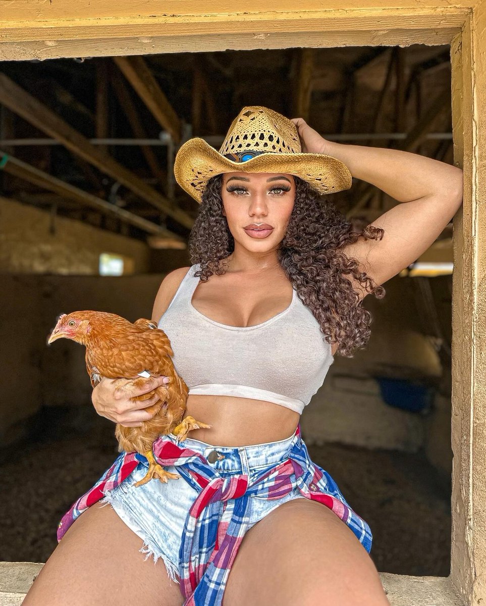 Nat Tortelli 🇧🇷 tweet media