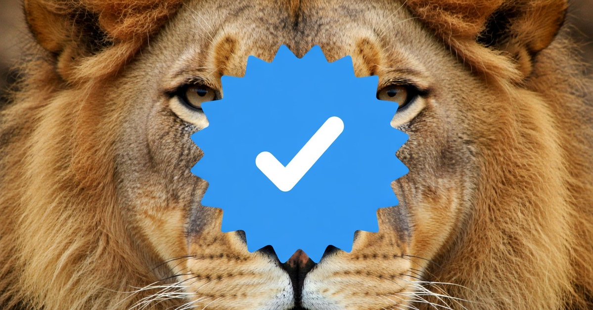 ‏‏‏بوح 𓃵 tweet media