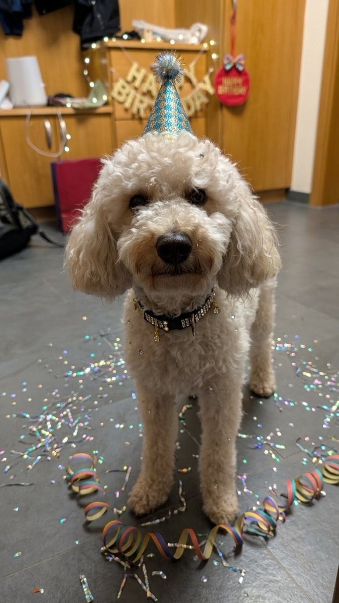 CarFreiTag tweet media