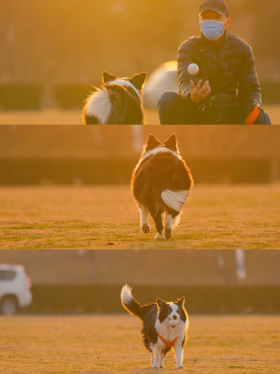 Benjamin Hemche tweet media