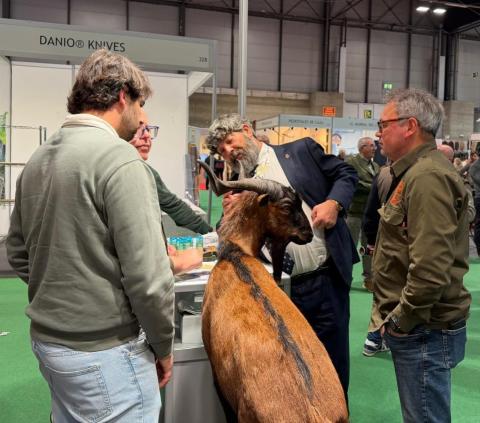 Consell de Mallorca tweet media