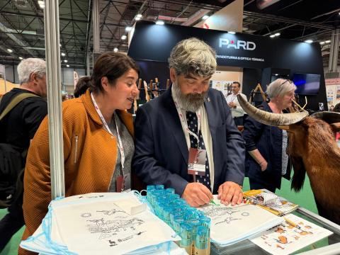 Consell de Mallorca tweet media