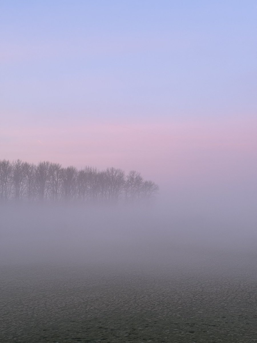 OutsideContextProblem 🍷 tweet media