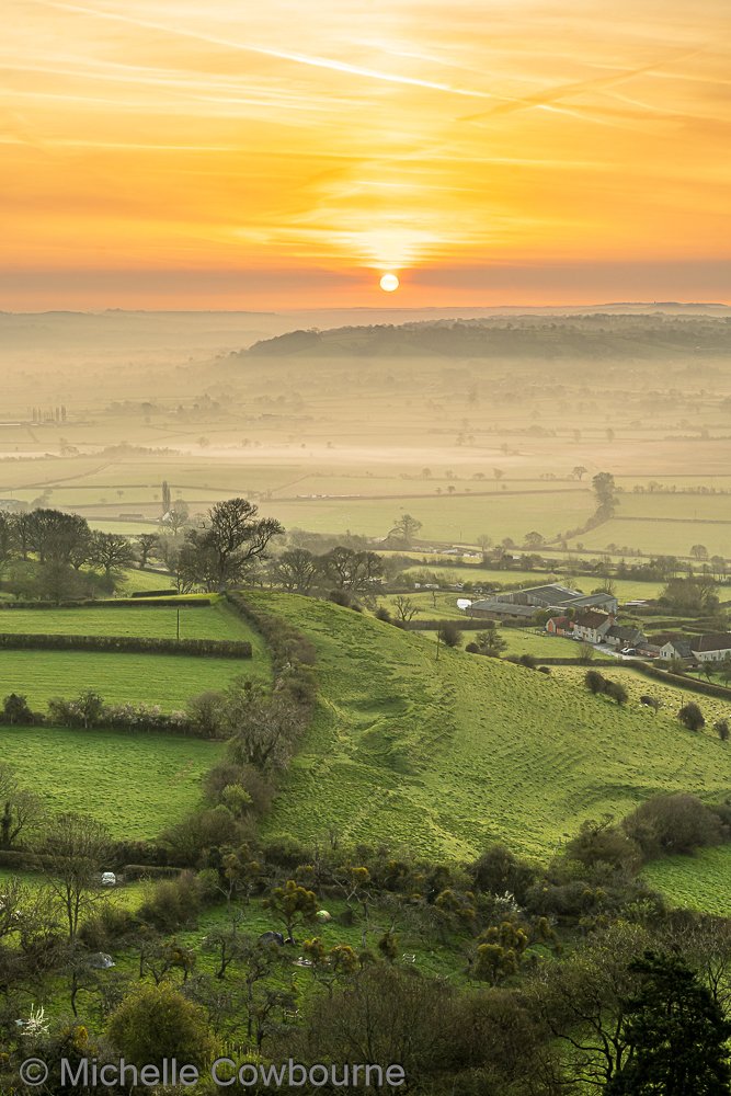 Michelle Cowbourne tweet media