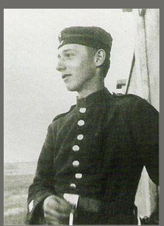 Amazonia - Kaua e tautohetohe ki nga riwai tweet media