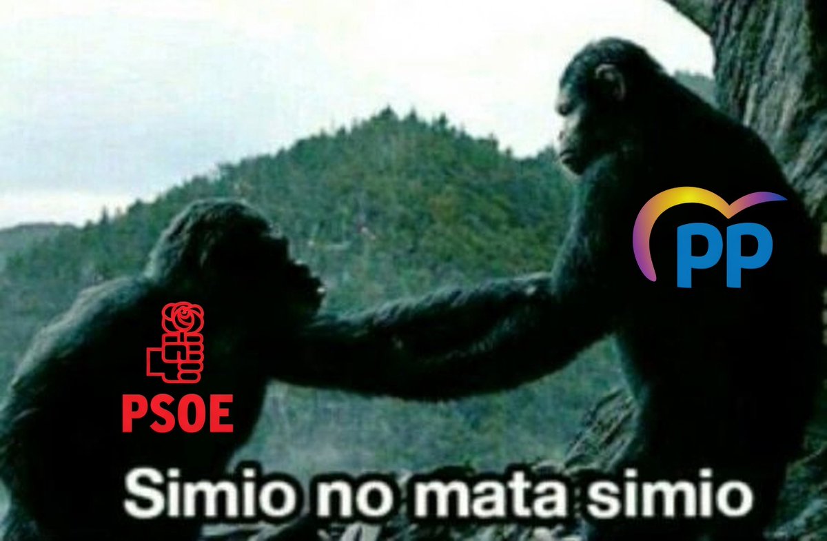 Agente Smith tweet media